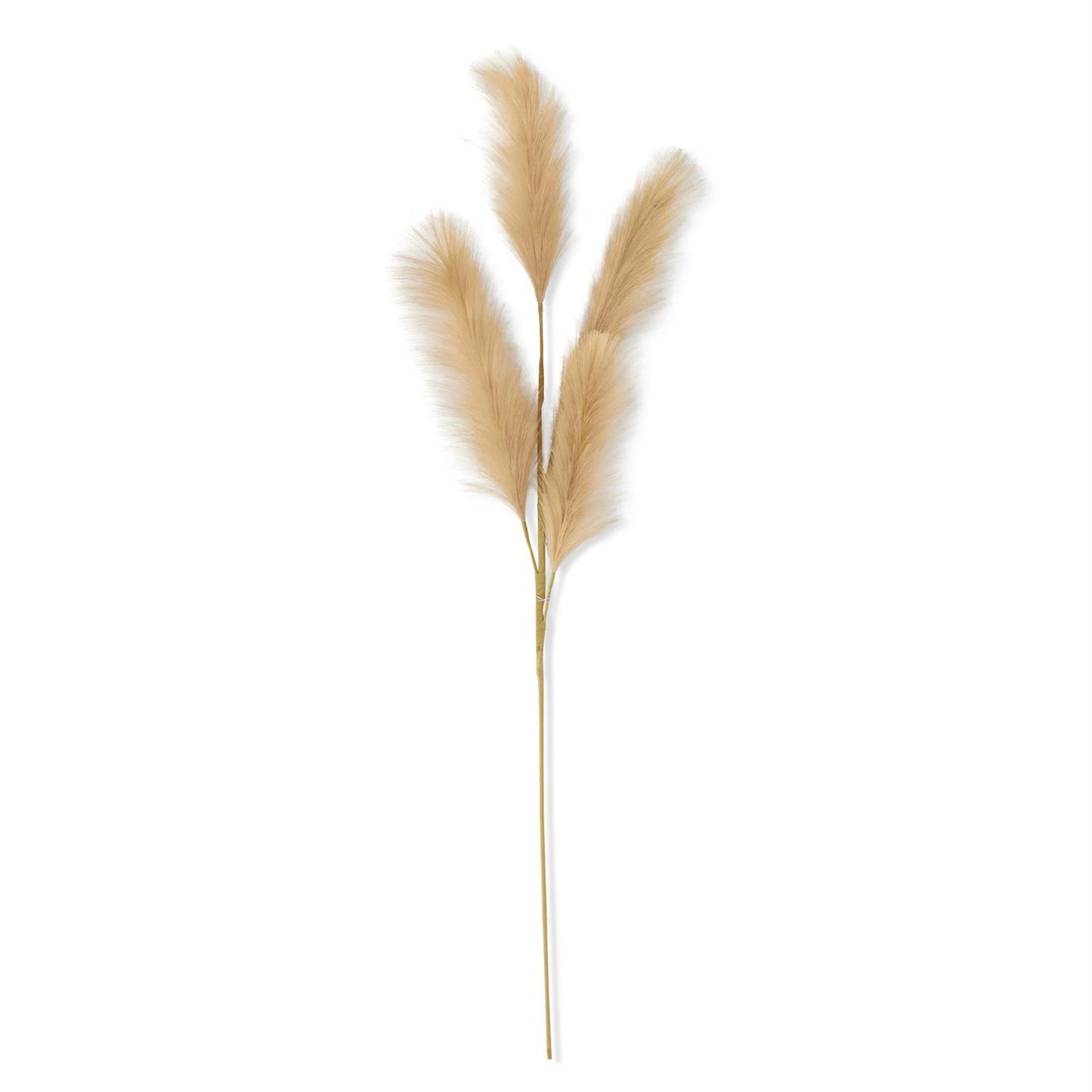 42 INCH BEIGE GRASS STEM