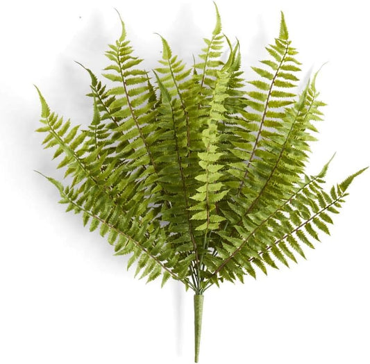 24" FERN BUSH