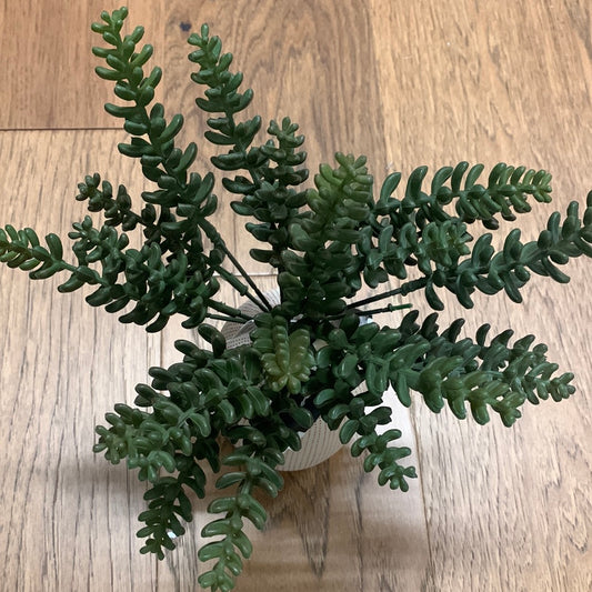 9" GREEN DONKEY TAIL SUCCULENT PICK