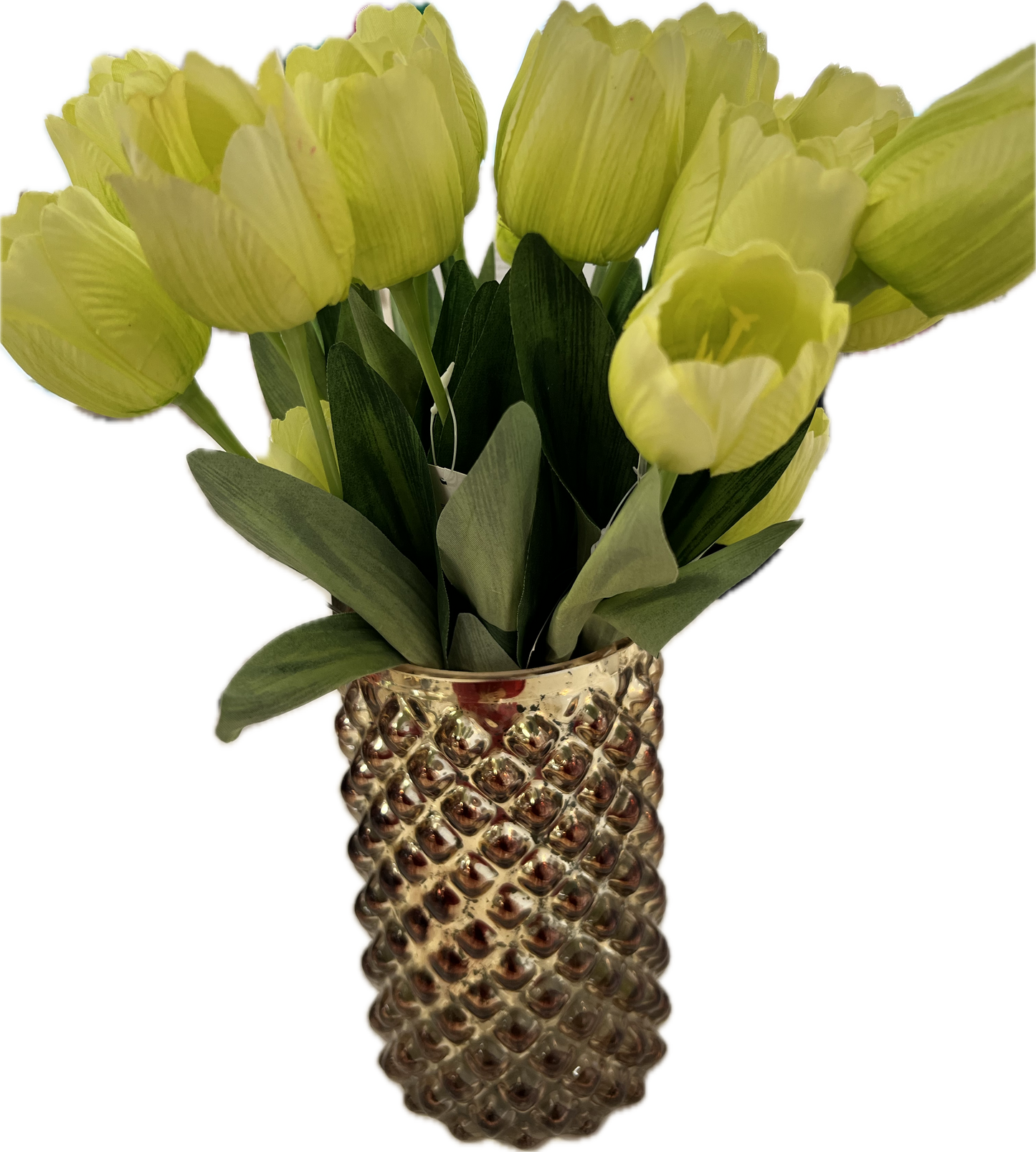 GREEN TULIPS