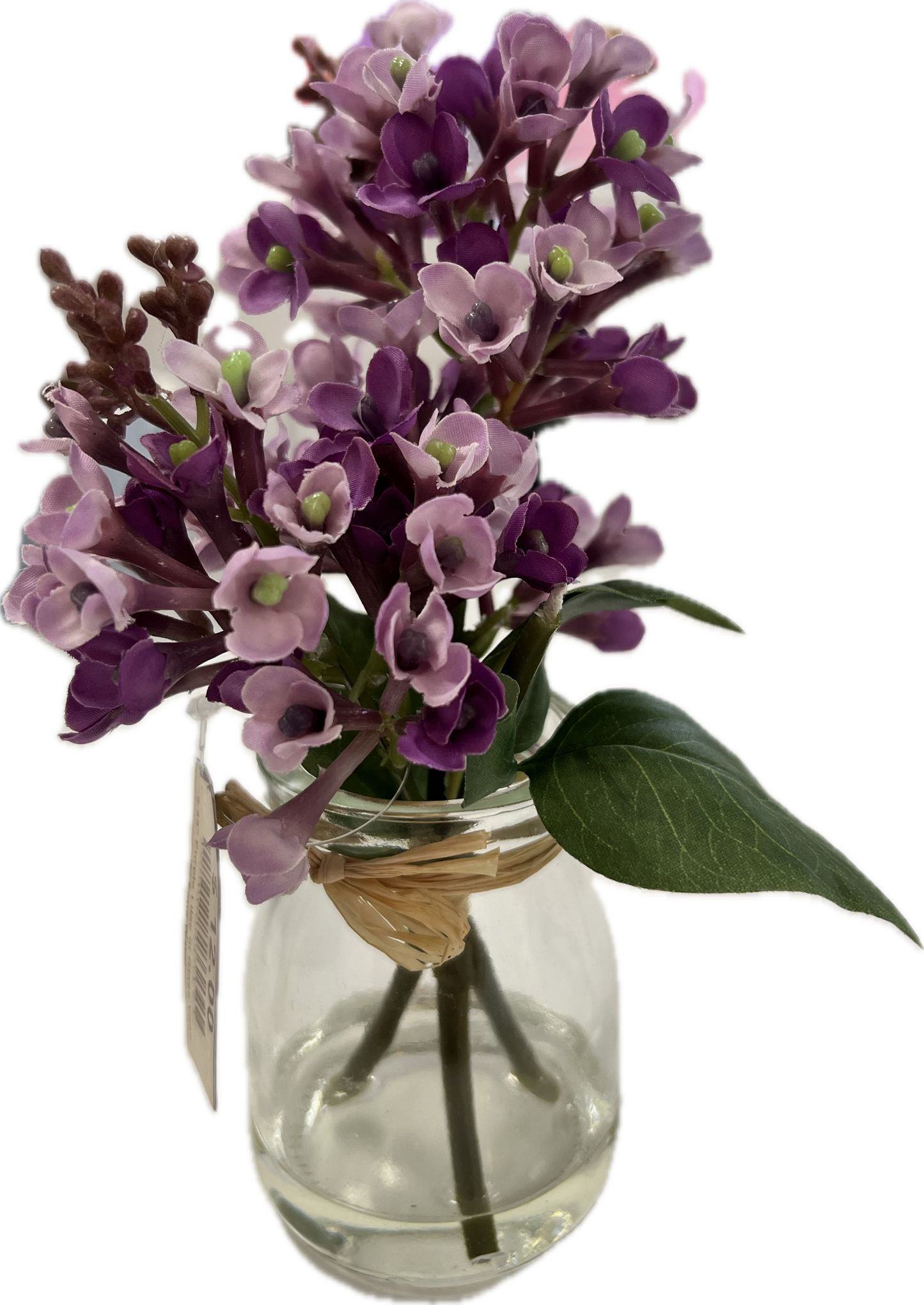 9.25” LILAC IN GLASS VASE