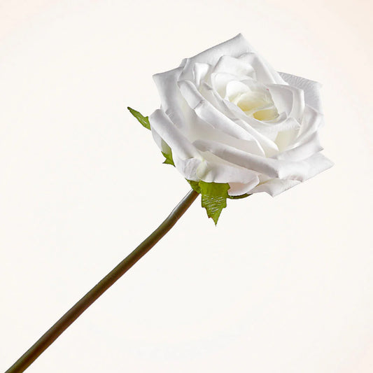 14" WHITE ROSE STEM