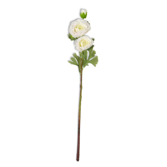 WHITE TRIPLE BLOOM RANUNCULUS STEM