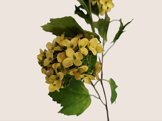 23" YELLOW HYDRANGEA STEM