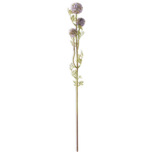 25" MINI ALLIUM STEM