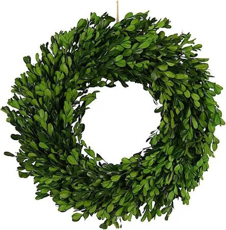 24 INCH BOXWOOD WREATH – Simply Carolina